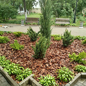 Хвойная мульча в Абакане купить - оперативная доставка по всей России