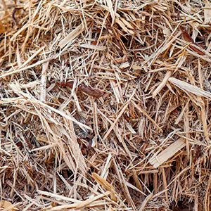 Щепа для арболита оптом в Абакане и других различных марок заказать от 16 тонн